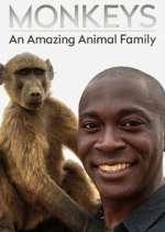 Watch Monkeys: An Amazing Animal Family Megashare8