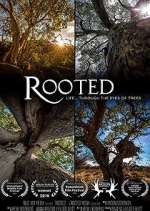 Watch Rooted Megashare8