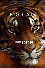 Watch Big Cats Megashare8