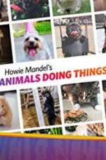 Watch Howie Mandel\'s Animals Doing Things Megashare8