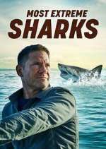 Watch Most Extreme Sharks Megashare8