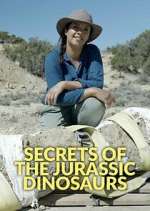 Watch Secrets of the Jurassic Dinosaurs Megashare8