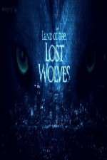 Watch Land Of The Lost Wolves Megashare8