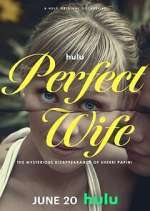 Watch Perfect Wife: The Mysterious Disappearance of Sherri Papini Megashare8
