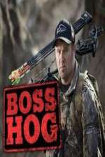 Watch Boss Hog Megashare8