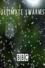 Watch Ultimate Swarms Megashare8