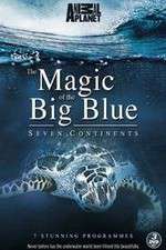 Watch The Magic of the Big Blue Megashare8
