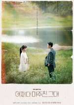 Watch Met You By Chance Megashare8