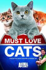 Watch Must Love Cats Megashare8