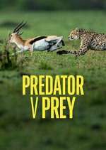 Watch Predator v Prey Megashare8