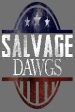 Watch Salvage Dawgs Megashare8