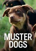 Watch Muster Dogs Megashare8