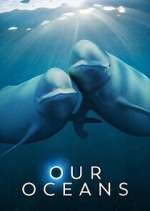 Watch Our Oceans Megashare8