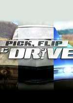 Watch Pick, Flip & Drive Megashare8