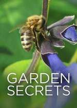 Watch Garden Secrets Megashare8