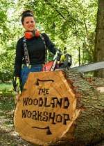 Watch The Woodland Workshop Megashare8