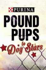 Watch Purina Pound Pups To Dog Stars Megashare8
