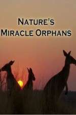 Watch Nature's Miracle Orphans Megashare8
