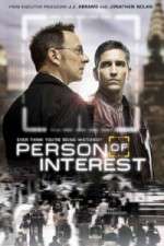 Watch Person of Interest Megashare8