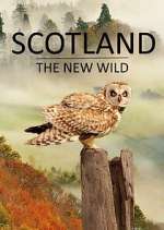 Watch Scotland - The New Wild Megashare8