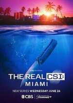 Watch The Real CSI: Miami Megashare8