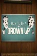 Watch How to be a Grown Up Megashare8
