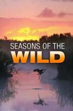 Watch Seasons of the Wild Megashare8