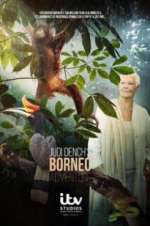 Watch Judi Dench\'s Wild Borneo Adventure Megashare8