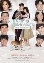 Watch My Husband in Law Megashare8