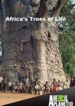 Watch Africa's Trees of Life Megashare8