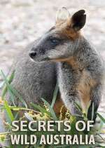 Watch Secrets of Wild Australia Megashare8