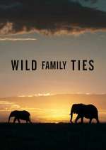 Watch Wild Family Ties Megashare8