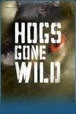 Watch Hogs Gone Wild Megashare8