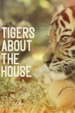 Watch Tigers About the House Megashare8