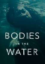 Watch Bodies in the Water Megashare8