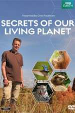 Watch Secrets of Our Living Planet Megashare8