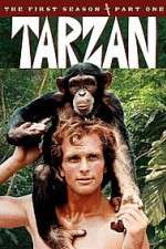 Watch Tarzan Megashare8