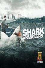 Watch Shark Wranglers Megashare8
