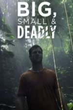 Watch Big, Small & Deadly Megashare8