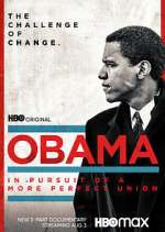 Watch Obama: In Pursuit of a More Perfect Union Megashare8