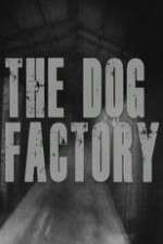 Watch The Dog Factory Megashare8