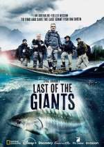 Watch Last of the Giants: Wild Fish Megashare8