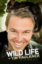 Watch The Wild Life of Tim Faulkner Megashare8
