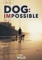 Watch Dog: Impossible Megashare8