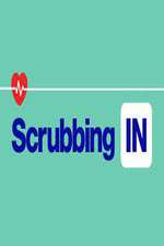 Watch Scrubbing In Megashare8