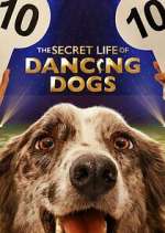 Watch The Secret Life of Dancing Dogs Megashare8