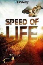 Watch Discovery Channel Speed Of Life Megashare8