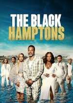 Watch Carl Weber's The Black Hamptons Megashare8