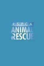 Watch RSPCA Animal Rescue Megashare8