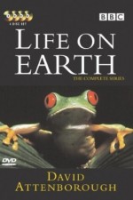 Watch Life on Earth Megashare8